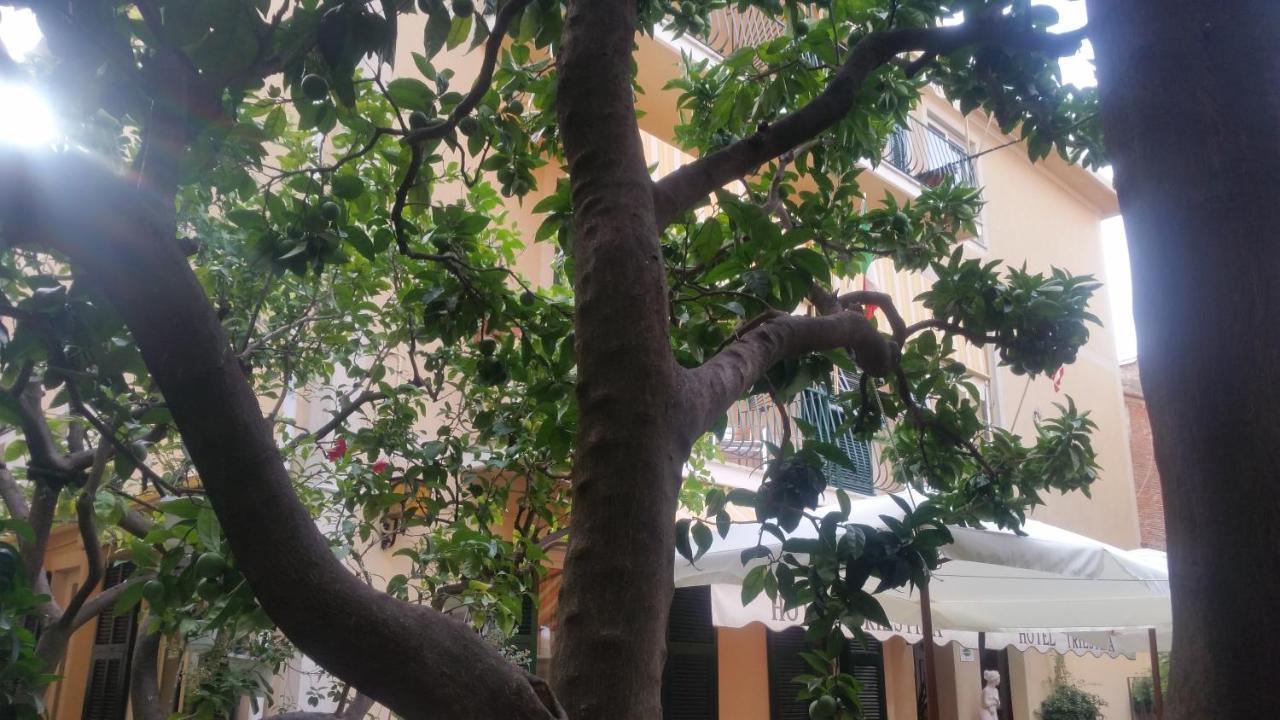 Hotel Triestina Ноли Экстерьер фото